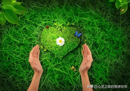 边缘障碍人格你有吗,边缘型人格障碍有爱吗