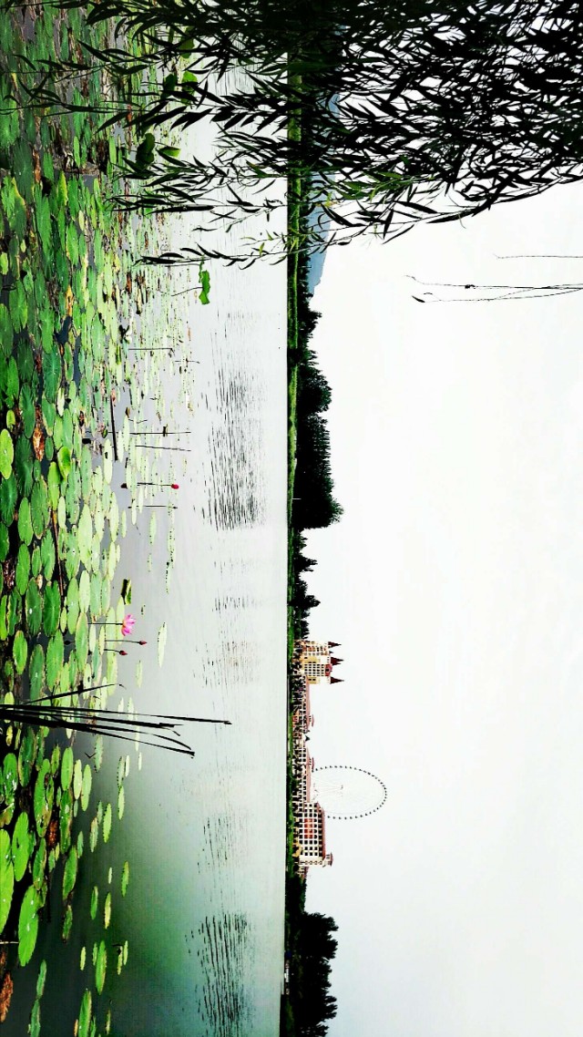 濞佹捣鑾辫尩灏忛晣,澶╂触鑾辫尩灏忛晣