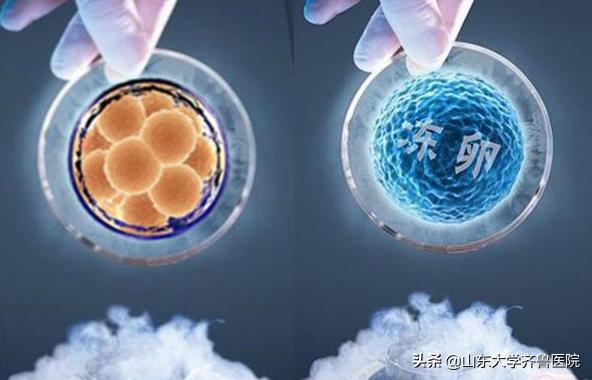 从梦想到希望——卵子冷冻让您的人生不再遗憾