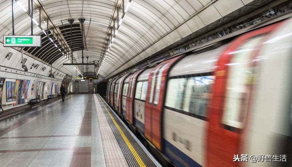 这4种维生素80%人非常缺,三秒判断出缺哪种维生素