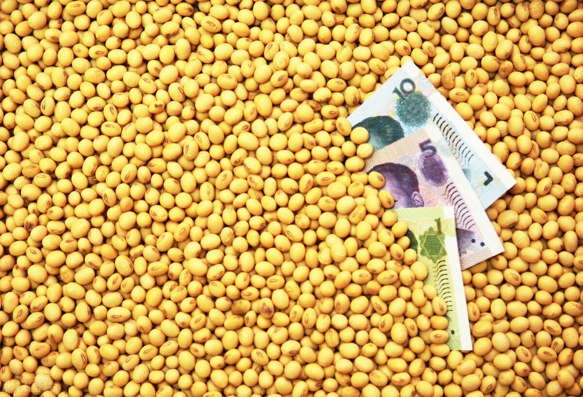 近几年大豆价格走势分析,最近大豆价格走势如何