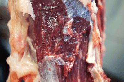 潮汕正宗牛肉丸百年祖传手法,潮汕纯手打纯牛肉丸第一名