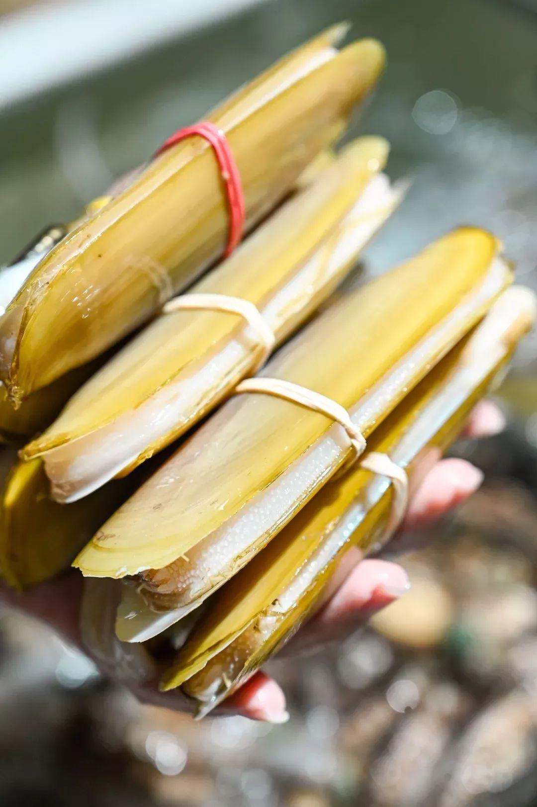 4000m²「平价海鲜」，还藏了个老广早茶，鸡煲、羊肉、虾蟹