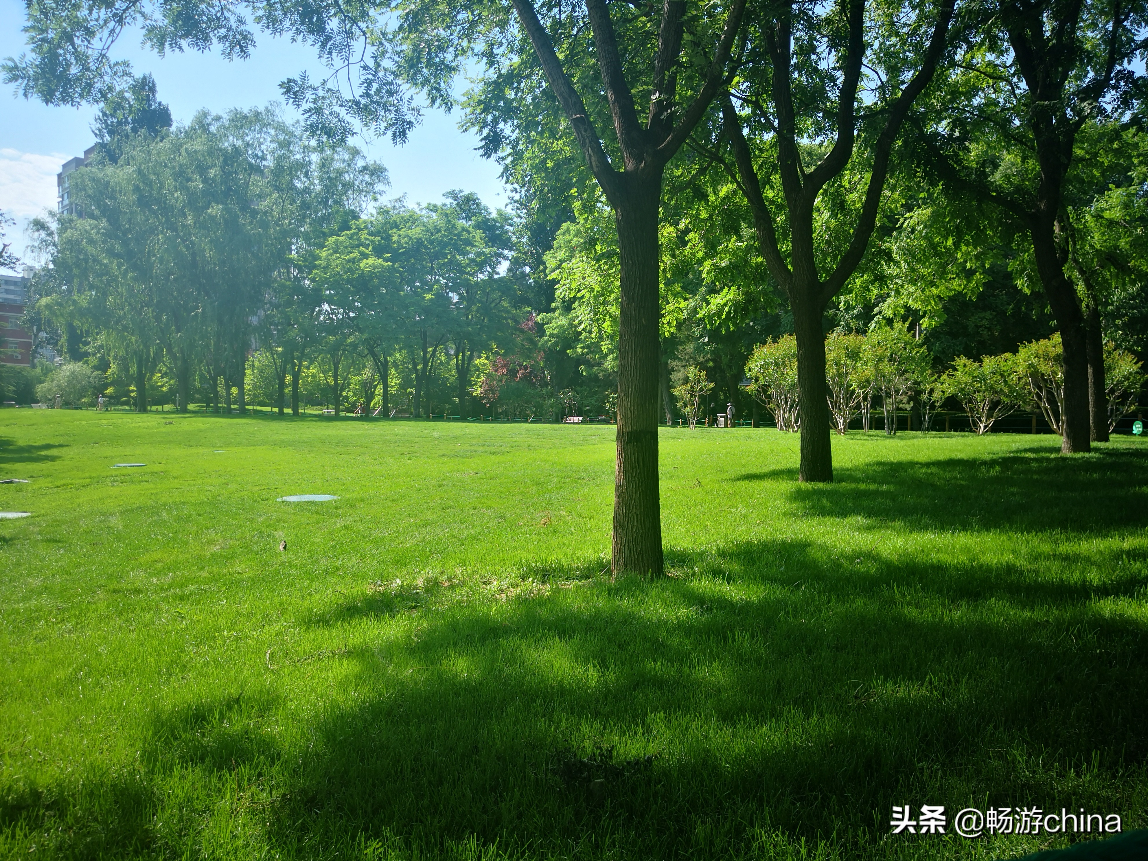 北京人定湖公园旅游攻略,人定湖公园跑道