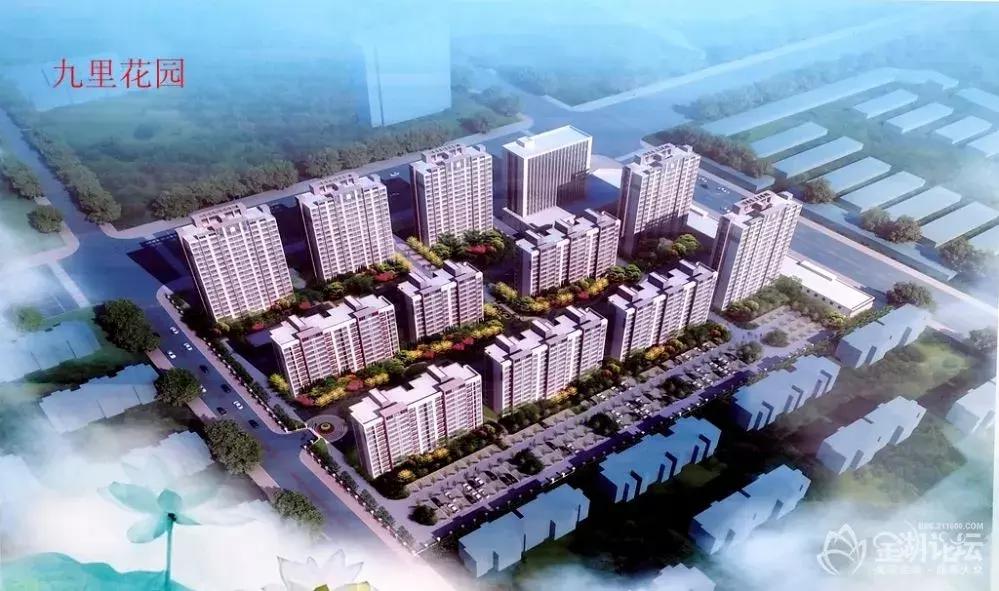 金湖县农房改善,2025江苏金湖县农村农房改善规划