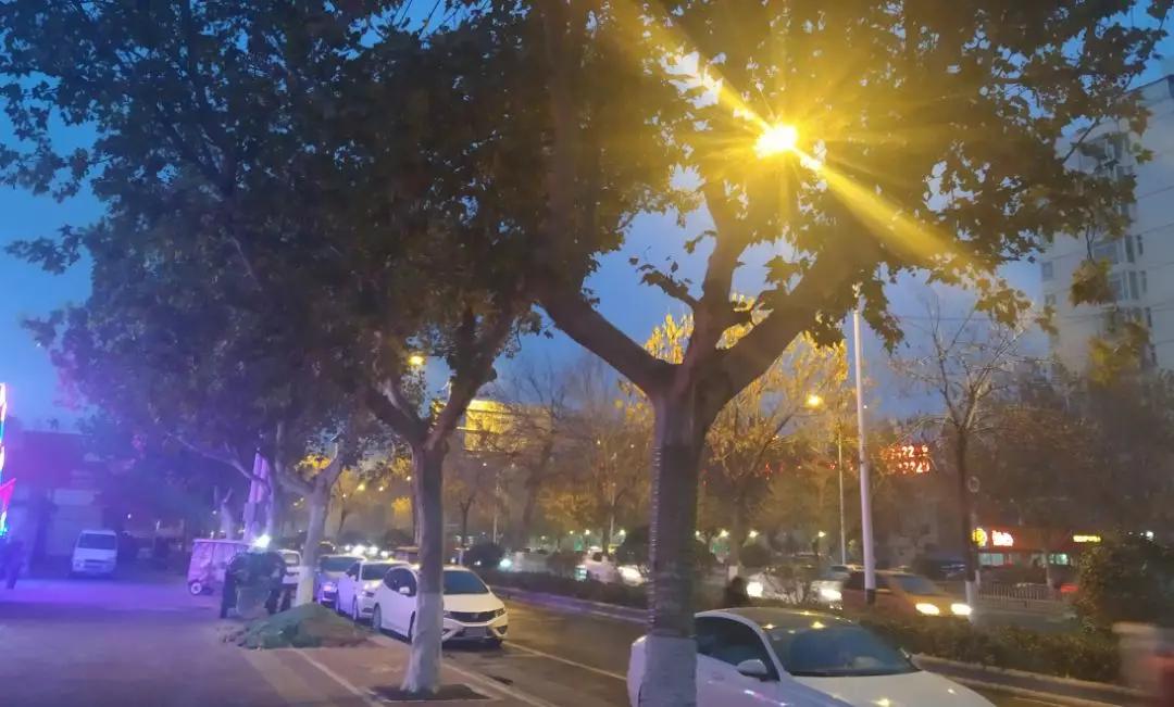 优美文章加感悟,经典美文摘抄梦想