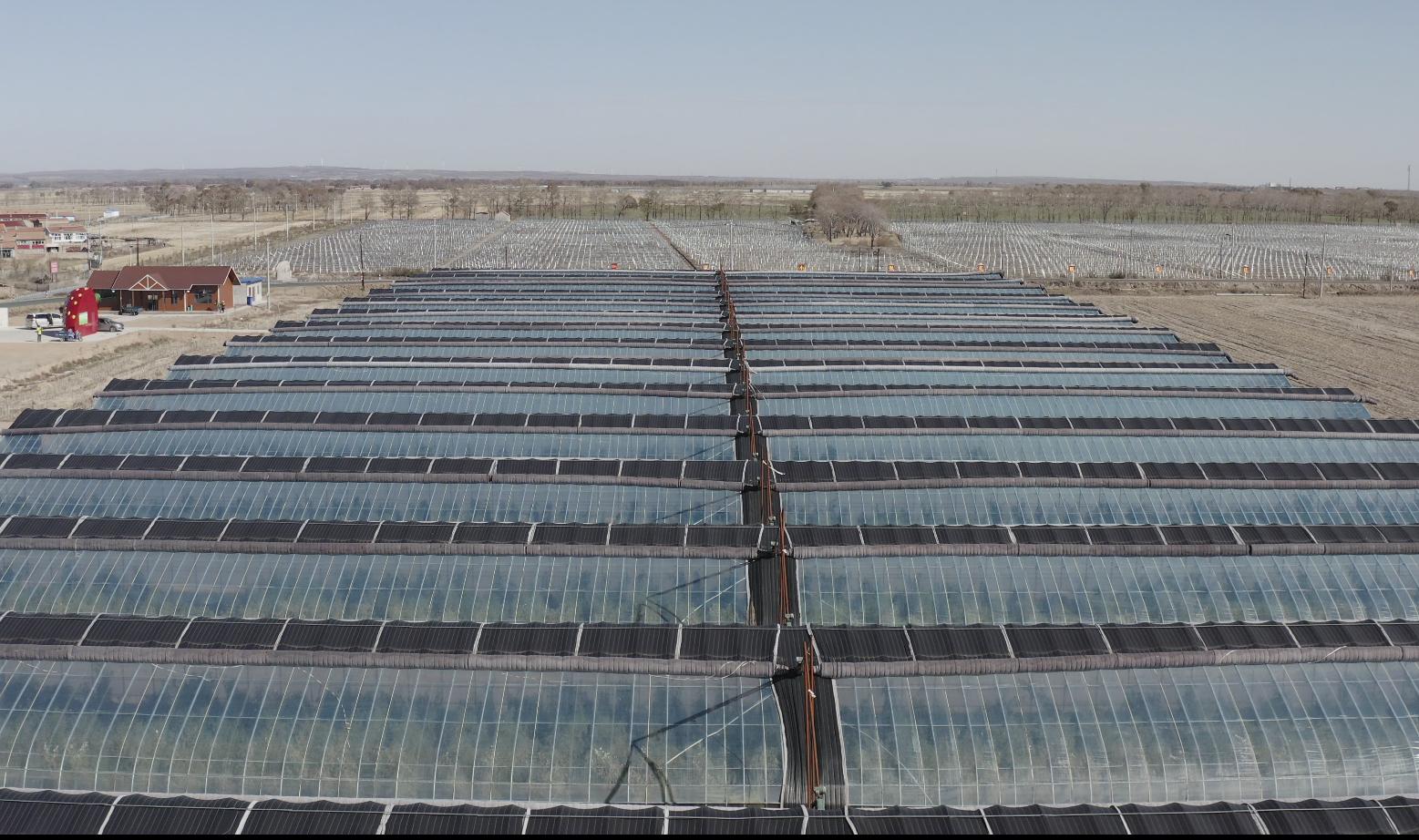 村级脱贫人口增收案例,村集体增收致富情况