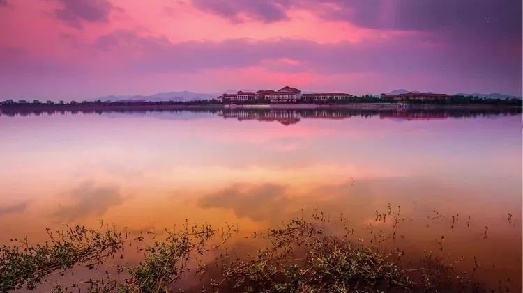 金华十大镇排名,金华十大县排名