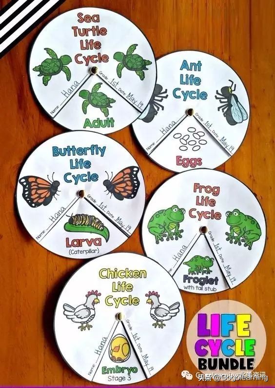 简单折叠立体书教程,手工折叠书教程简单