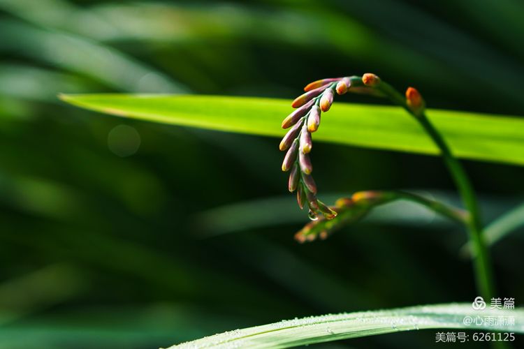白凡逸志在线阅读,一个韩国人眼里的中国