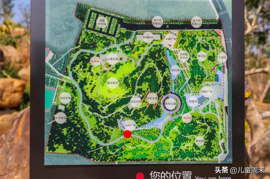 深圳中心公园足球场,深圳中心公园大草坪