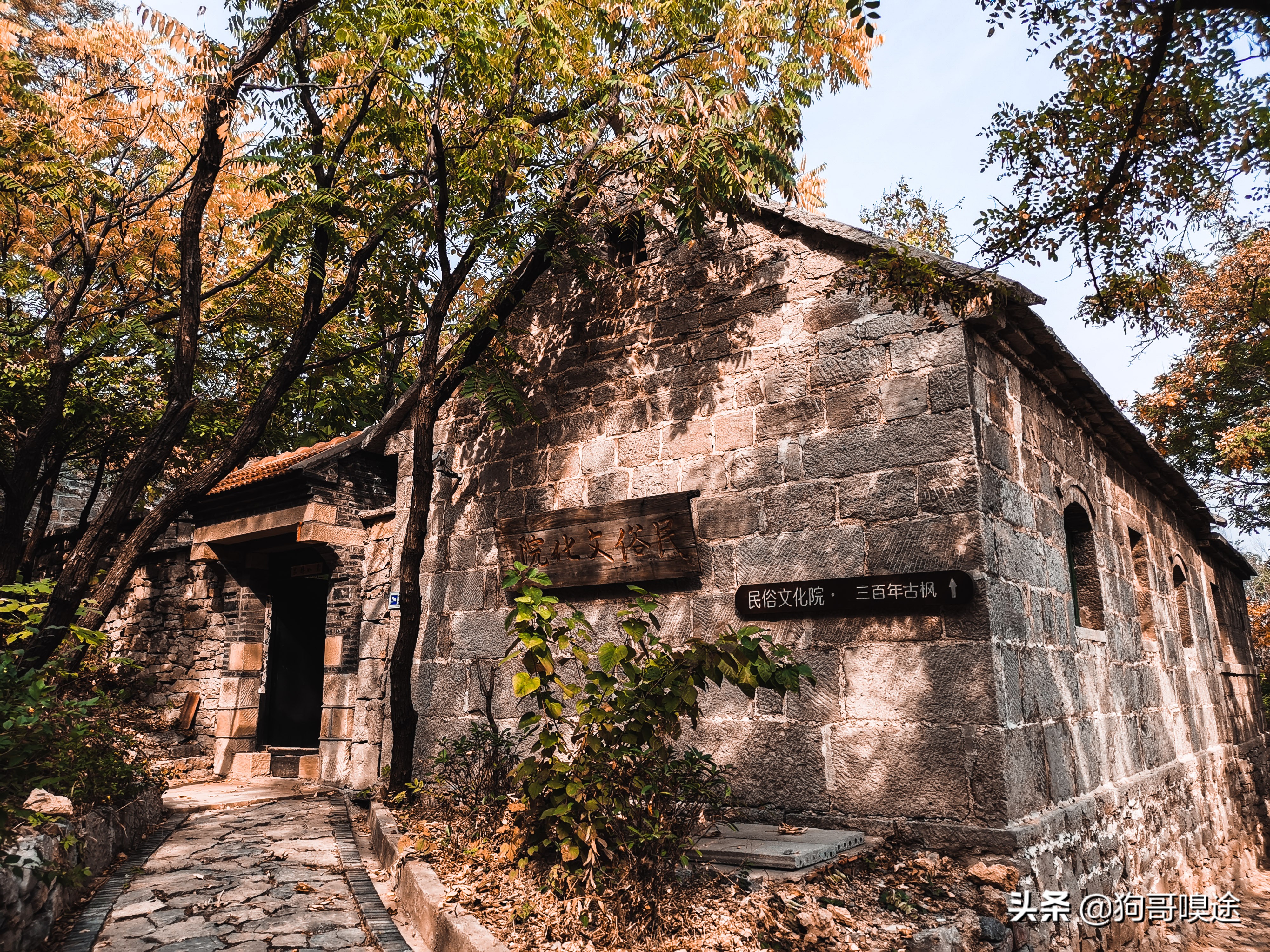 淄博避暑野餐哪里好玩,淄博夏天山里好玩的地方