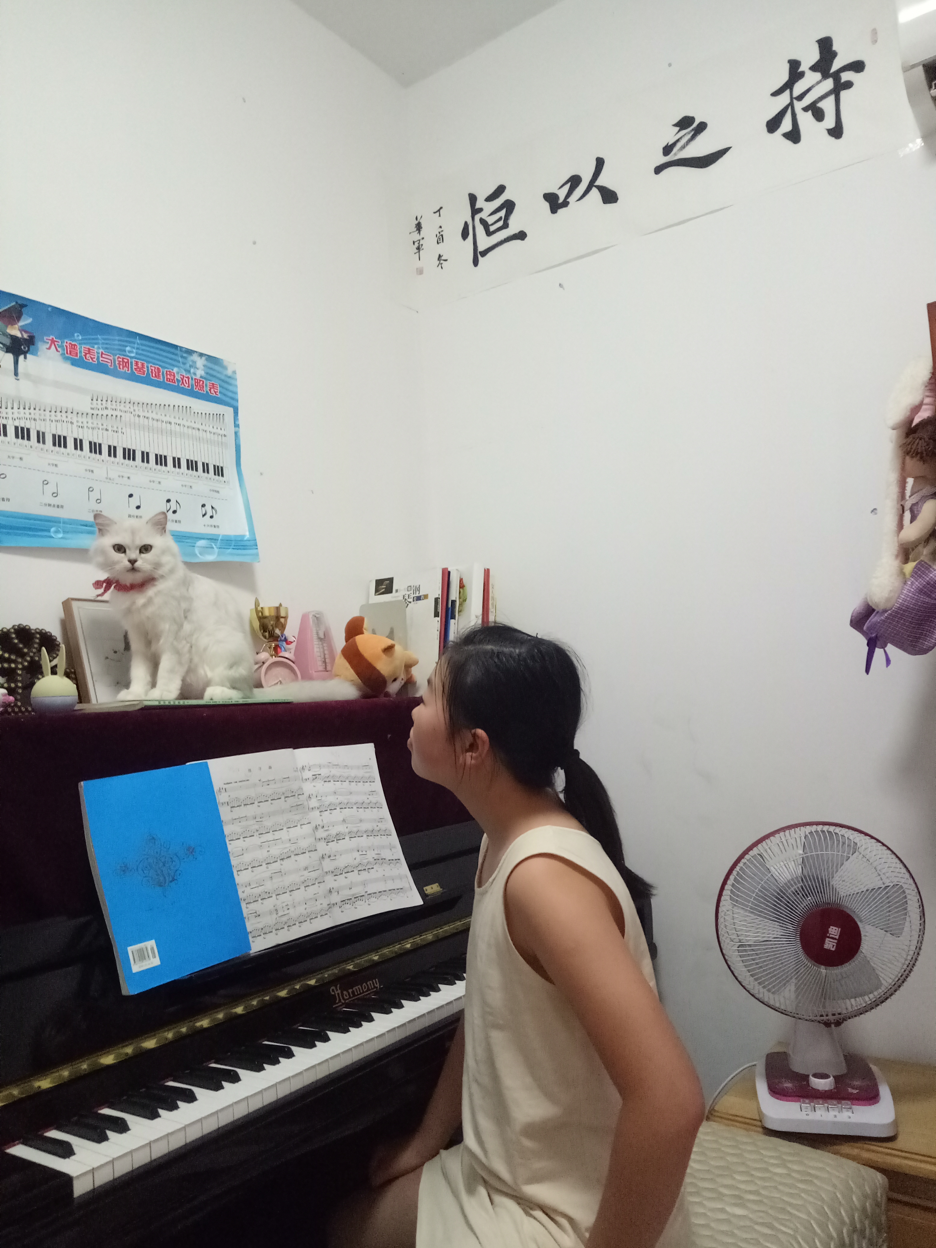 绗ㄧ鐚効绔ュ脊閽㈢惔瑙嗛,绗ㄧ鐚脊閽㈢惔瑙嗛