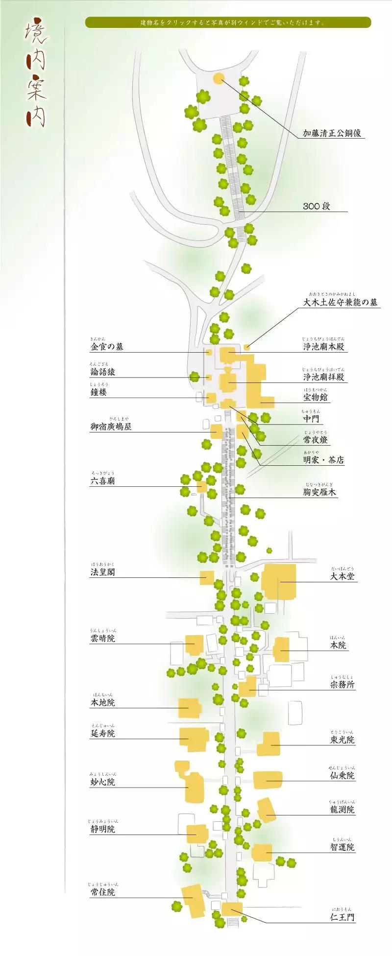 日本东京熊本熊,日本熊本游