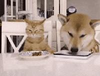 为啥加油站月薪两千还没人辞职,加油站上班工作强度大吗累吗