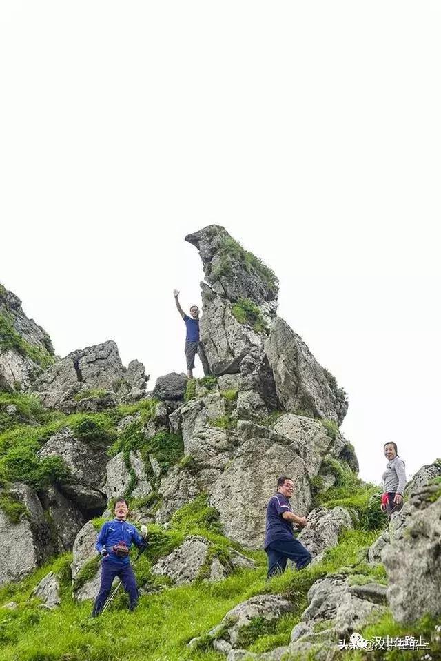 探秘汉中,汉中一村子窜入野生羚牛