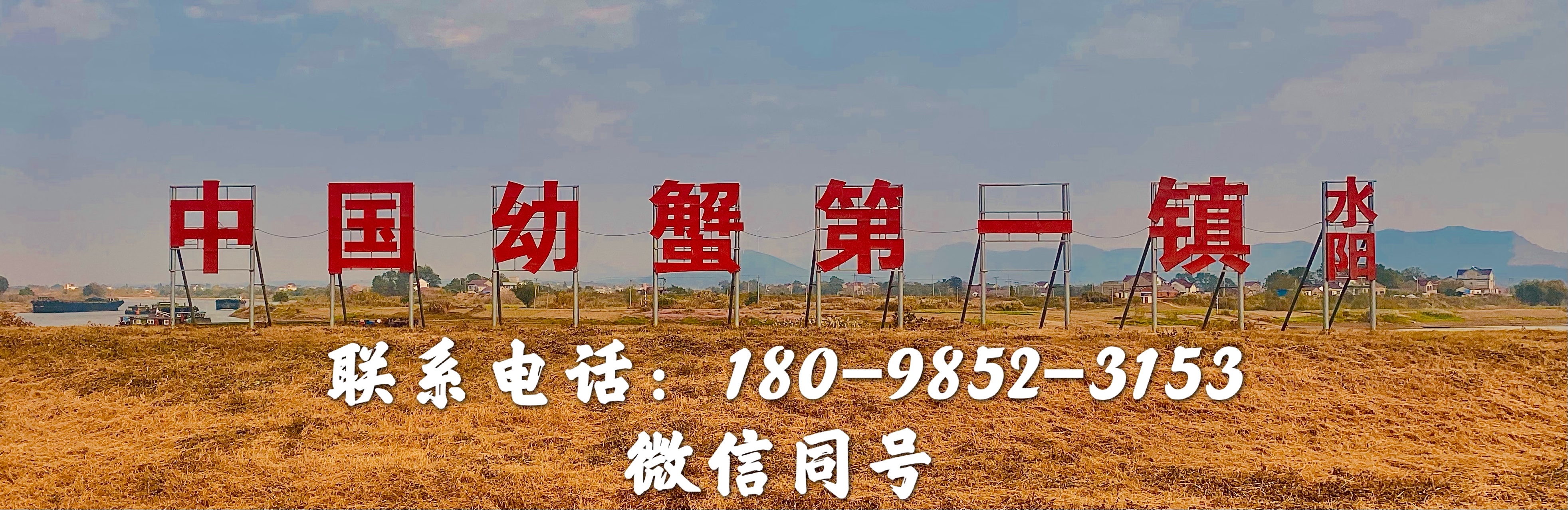 螃蟹养殖技术和视频,螃蟹养殖技术全集