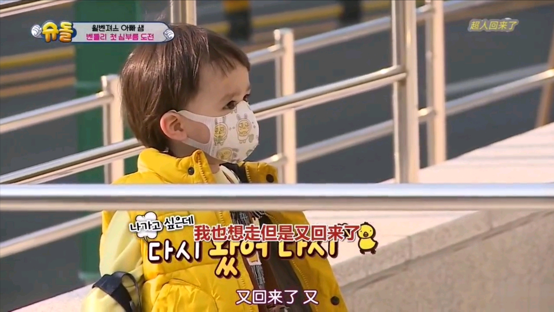 本特利的萌娃,本特利韩国萌娃