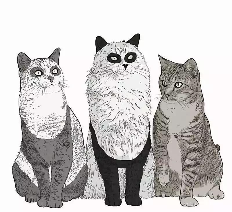 解析女性的各种*梦春**——是否有一种你做过？