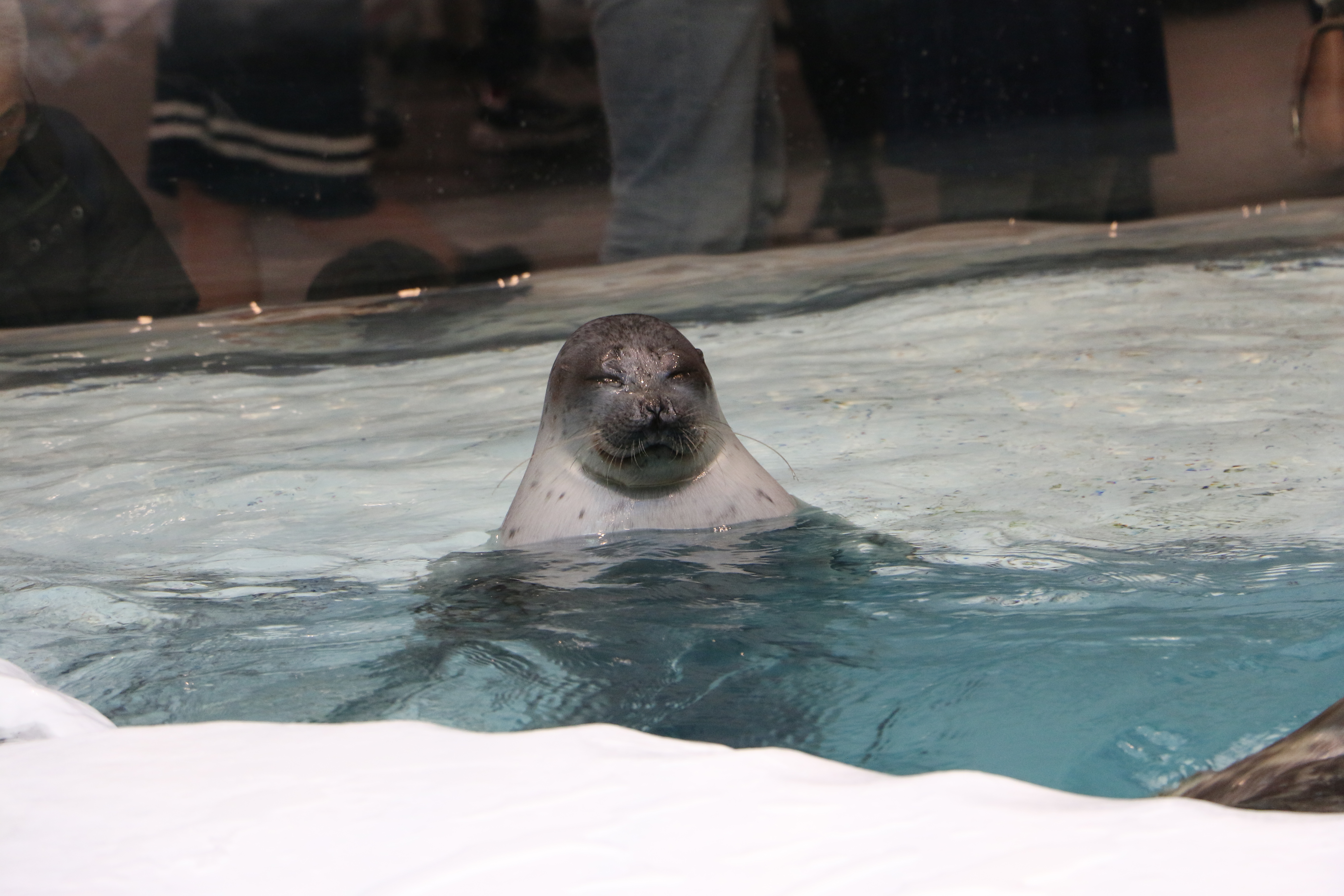 日本奈良自由行详细攻略,日本大阪京都自由行路线