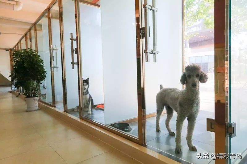 青岛红树林度假世界二期工程,青岛红树林度假世界会展中心