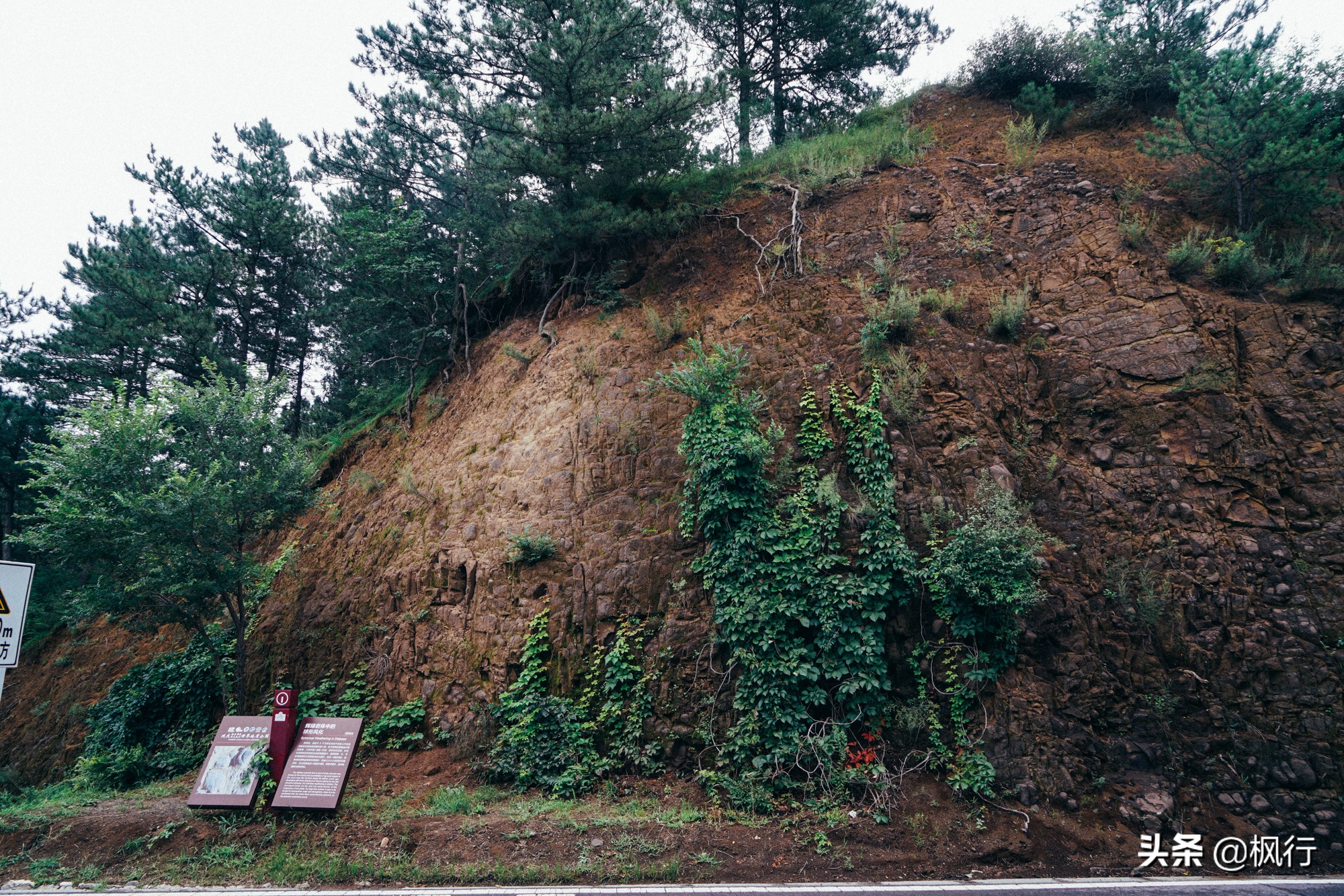 度假不逛景点适合去哪里,度假不必去远方
