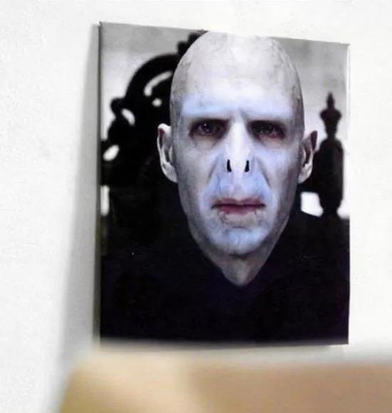 遇到蟑螂该怎么处理快速解决,捉到一只蟑螂怎么办