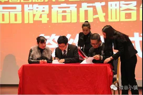 微谷控股创始人,微谷控股