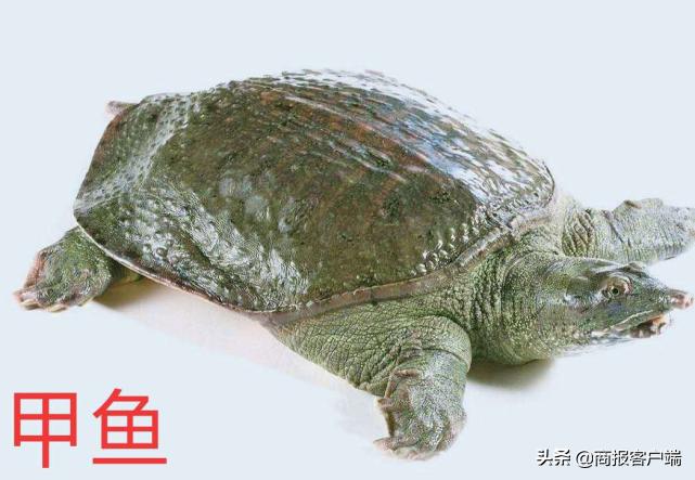 湖南稻湖生态农业开发有限公司,湖南白云生态农业