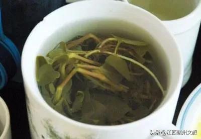 客家人说的狗舌藤什么功效,客家话狗贴耳