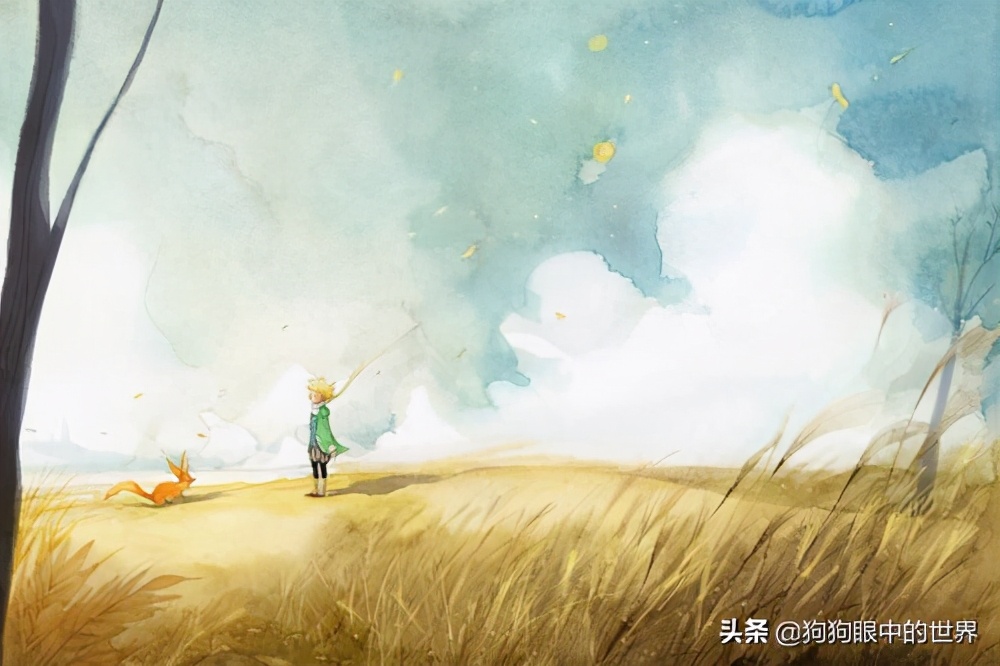 流浪狗治愈抑郁症,没想到自己竟然得了重度抑郁症