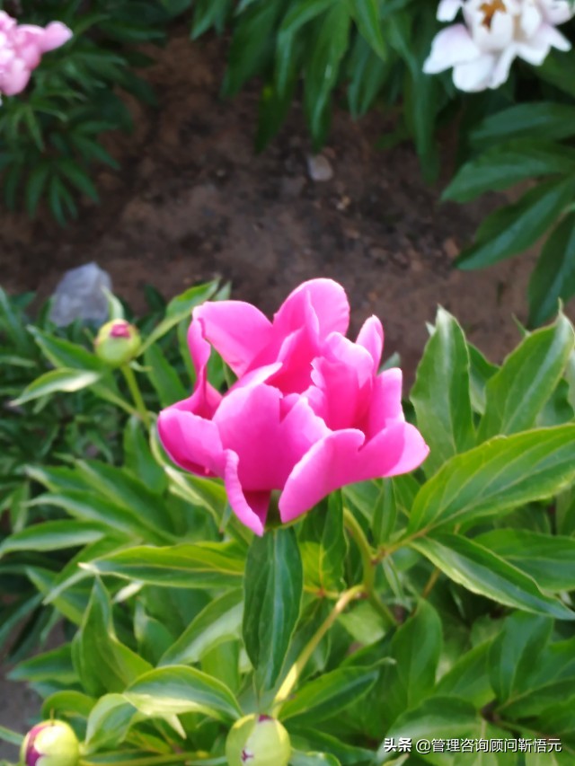 旅行社管理制度全套,旅行社安全管理制度