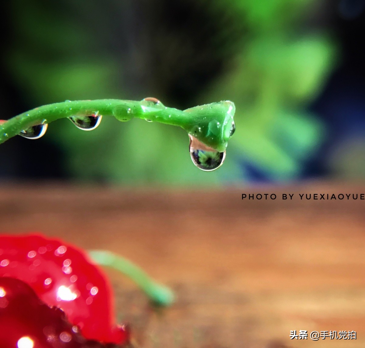 手机摄影怎么拍空房的空间感,手机黄墙拍照怎么拍出高级感