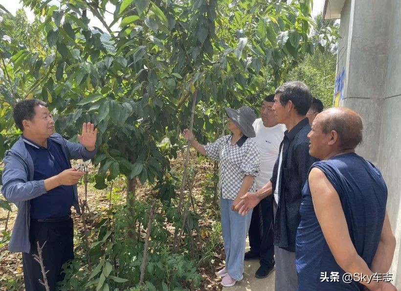 7天3000公里,宝马x57000公里发现烧机油