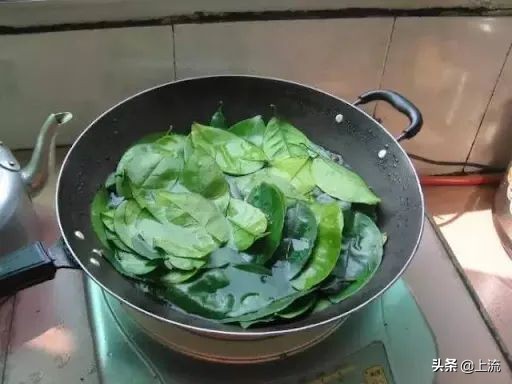 柚子叶洗澡有什么讲究,广州人为什么喜欢用柚子叶洗澡