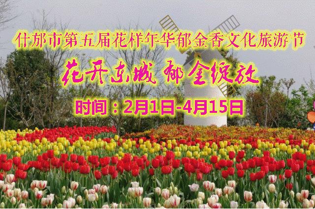 几十块钱玩一天,几十块钱玩一天天津