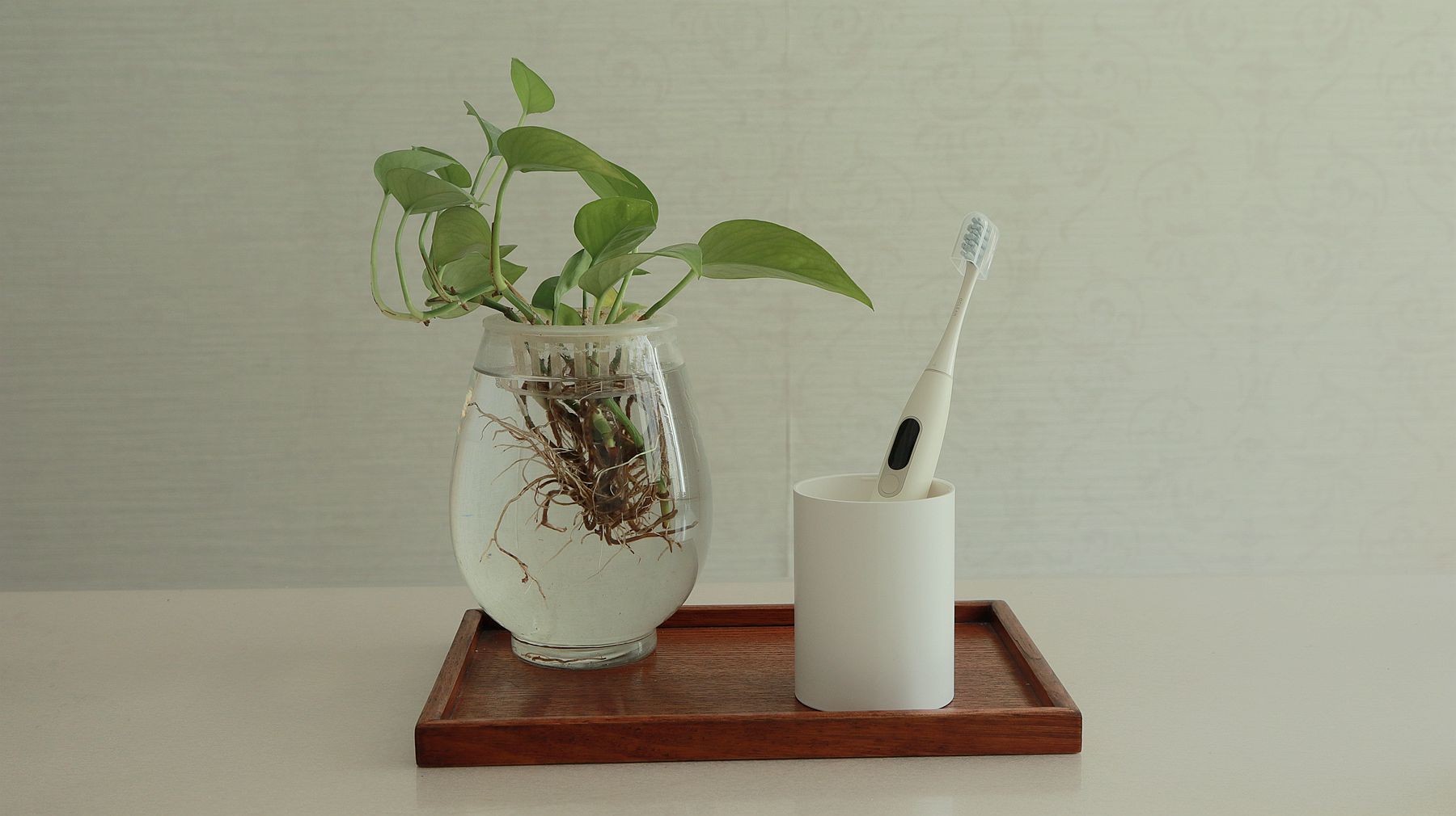 牙刷电动和普通推荐,便宜电动牙刷与贵的电动牙刷测评