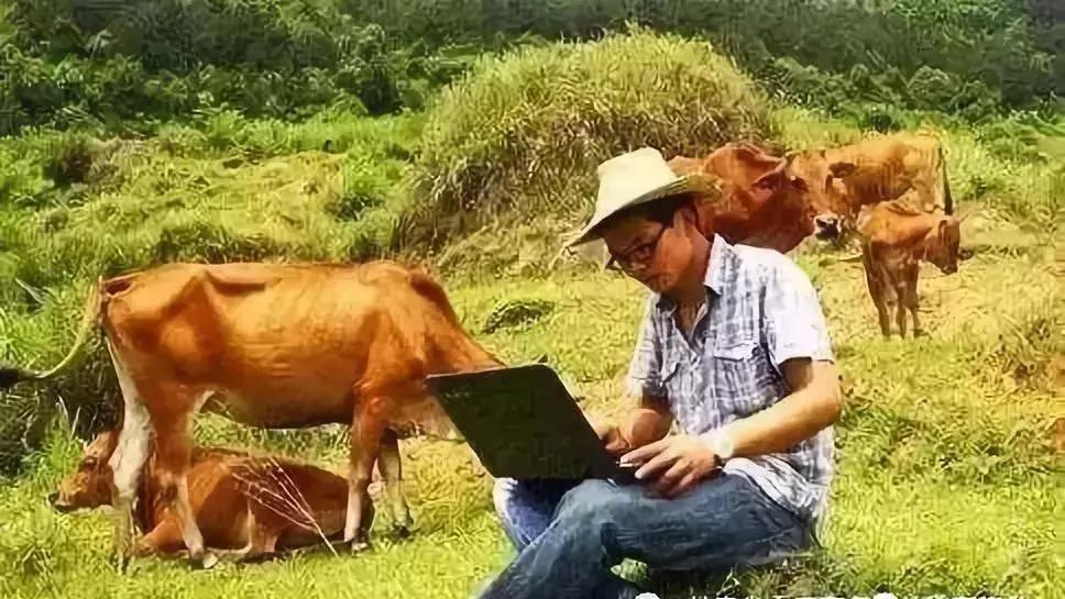 回农村发展应该做什么准备,返乡人多了农村有什么创业机会