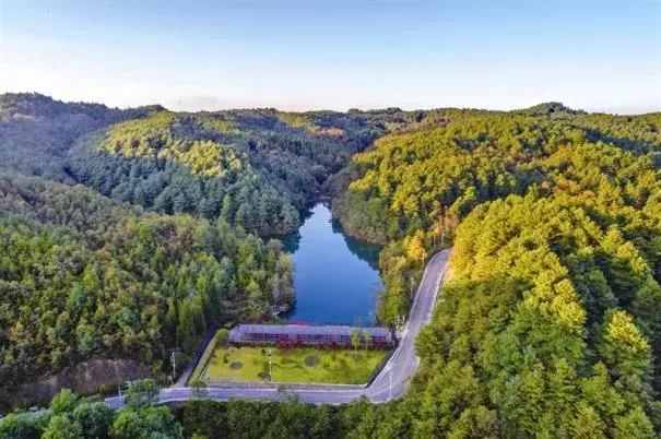 贵州60个重点景区名单,贵州5个风景区