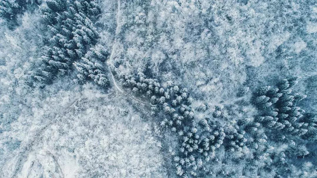 贵阳云雾山云海,贵阳云雾山雾凇旅游攻略