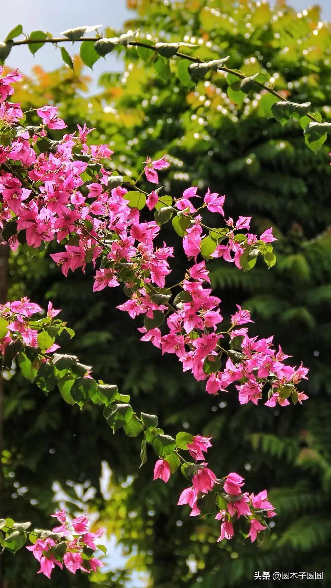 活到老学到老，退休后我开始学习做微店