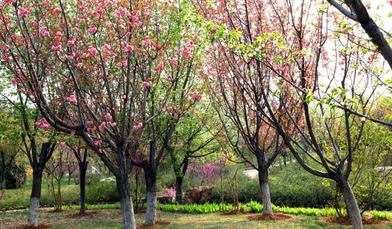 晋城司徒小镇异域风情,晋城皇城相府和司徒小镇