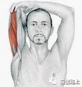 打通胳膊经络锻炼动作和方法,手臂经络不通松解法教程