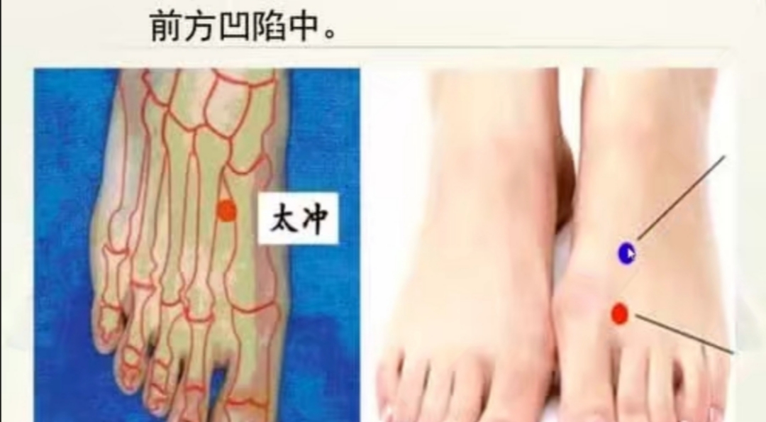 猫得了抑郁症，如何治疗？