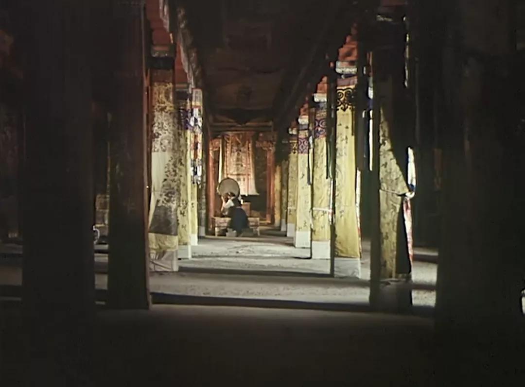 从不如牛马到翻身做主,*藏西**农奴是如何得到解放的?