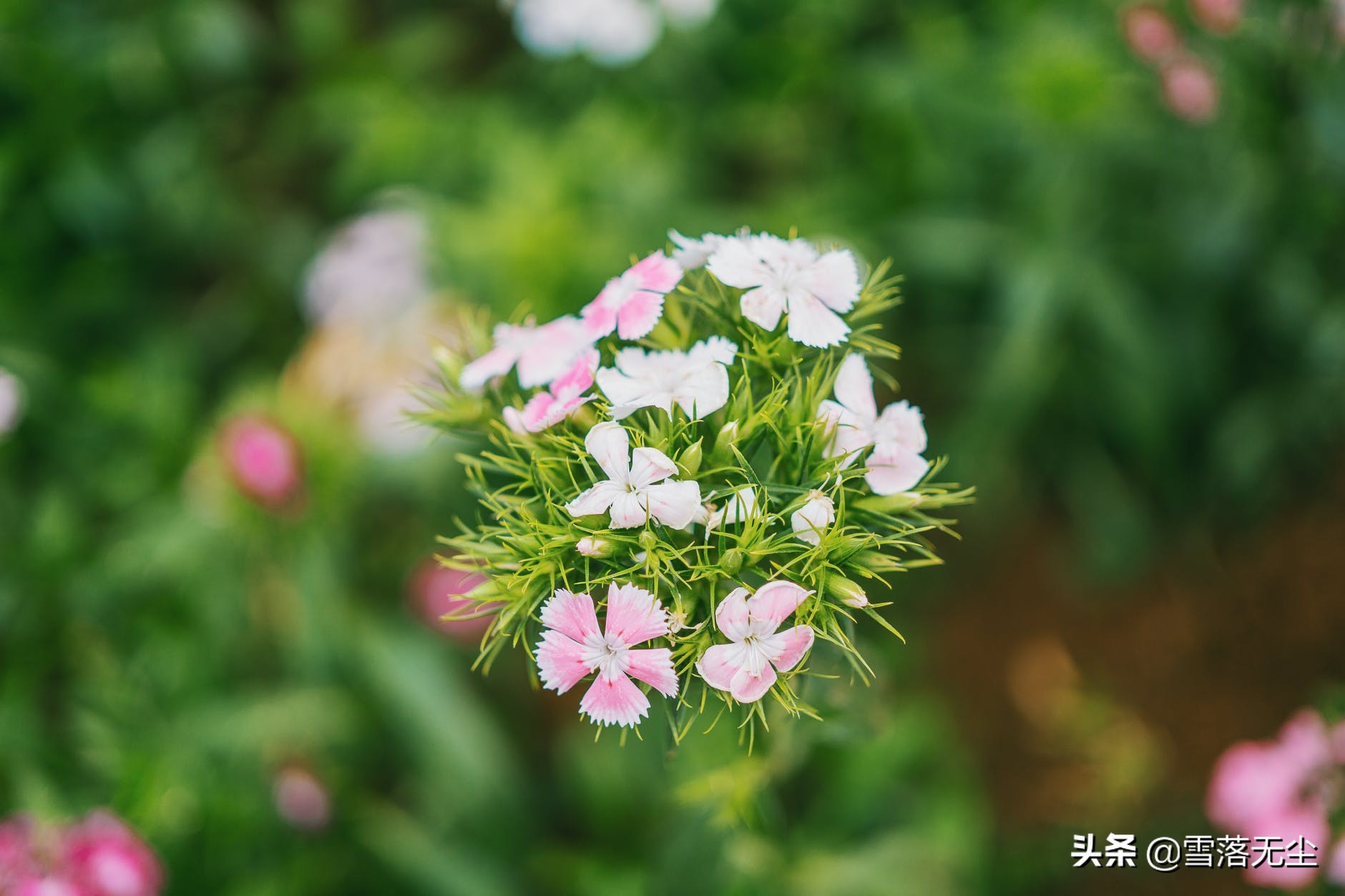 别让你的不好意思毁掉你人生,吃尽生活苦