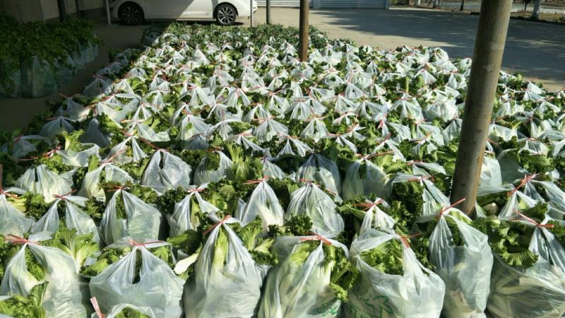 联创科技新冠,联创科技集团