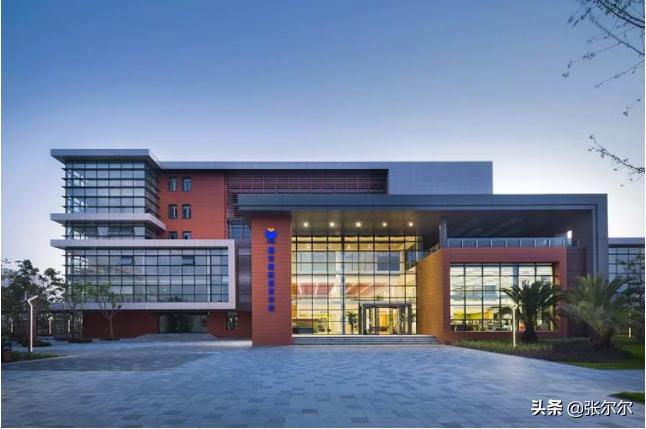 上海国际小学入学条件,上海最顶级的国际小学