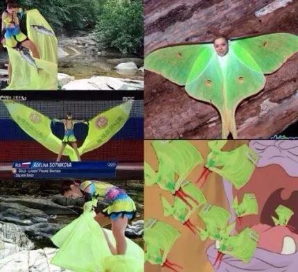 俄罗斯选手击败韩国人,俄罗斯选手胜利后韩国网民评论