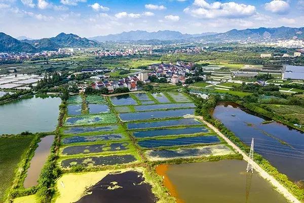 杭州西湖区免费足球场,西湖边的足球场